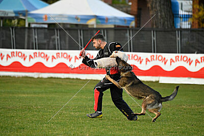 Arik von der Snively Haus