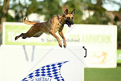 Arizona von den Heilstätten