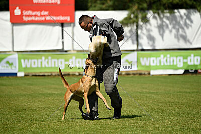 Arizona von den Heilstätten