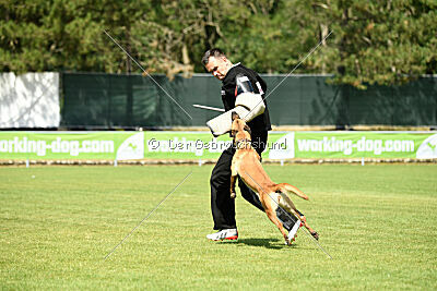 Arizona von den Heilstätten