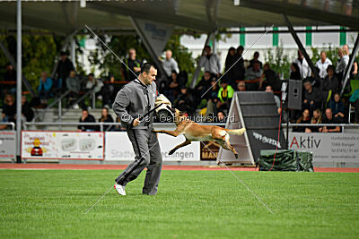 Arizona von den Heilstätten