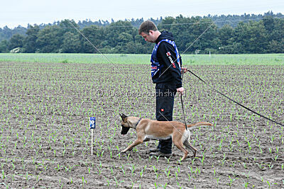 Arizona von den Heilstätten
