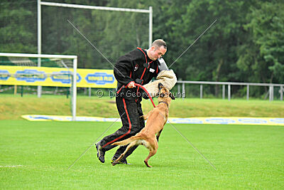 Arizona von den Heilstätten