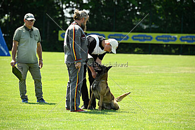 Arjen ex mera passio