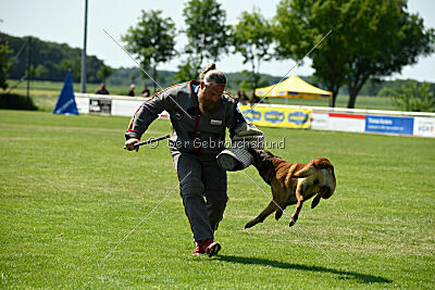 Arjen ex mera passio