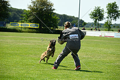 Arjen ex mera passio