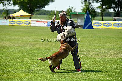 Arjen ex mera passio