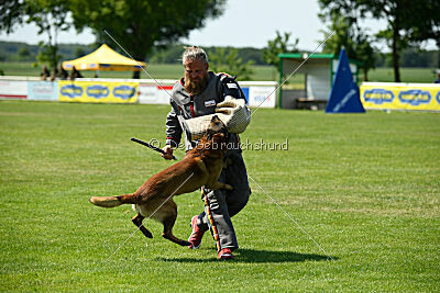 Arjen ex mera passio