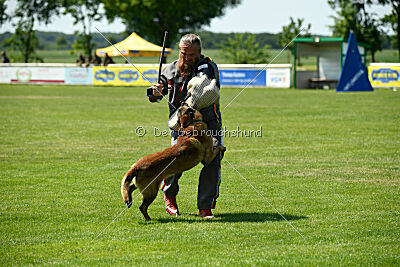 Arjen ex mera passio