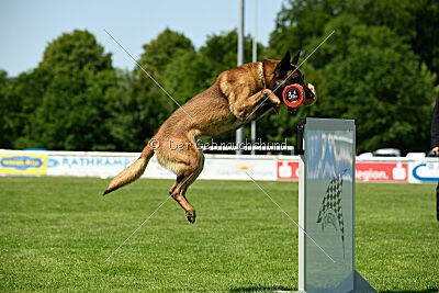 Arjen ex mera passio