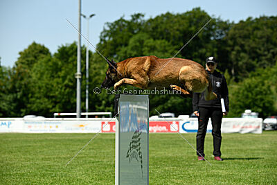 Arjen ex mera passio