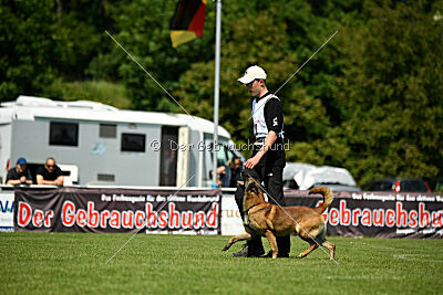 Arjen ex mera passio