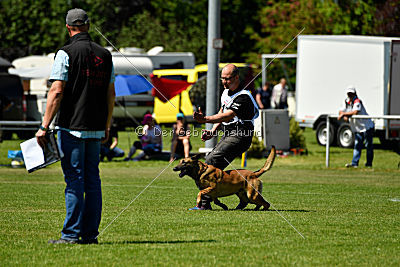 Arjen ex mera passio