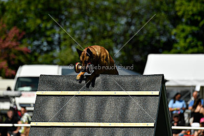 Arjen ex mera passio