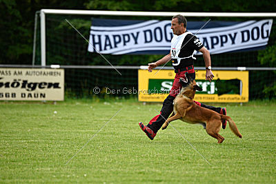 Arkan von der schwarzen Mamba