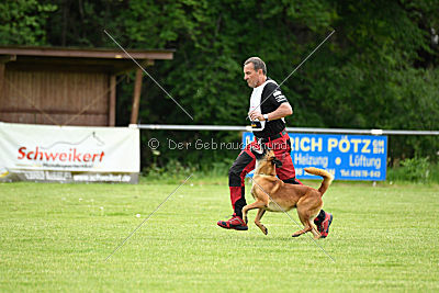 Arkan von der schwarzen Mamba