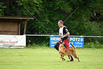 Arkan von der schwarzen Mamba