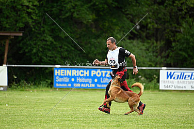Arkan von der schwarzen Mamba