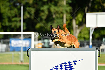 Arkan von der schwarzen Mamba