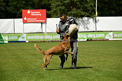 Armstrong Free to Fly