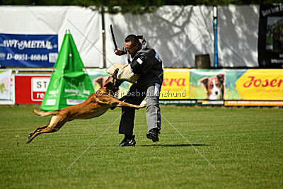 Armstrong Free to Fly