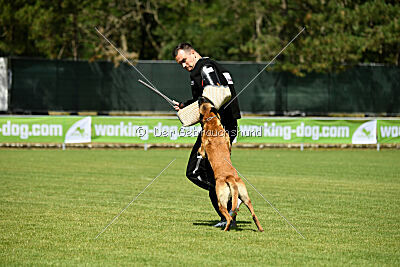 Armstrong Free to Fly