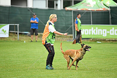 Armstrong Free to Fly