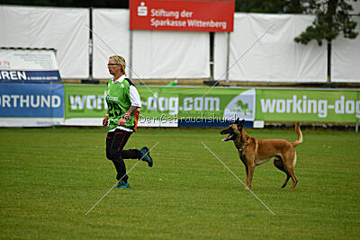 Armstrong Free to Fly