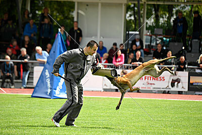 Armstrong Free to Fly