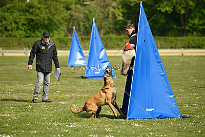 Armstrong Free to Fly