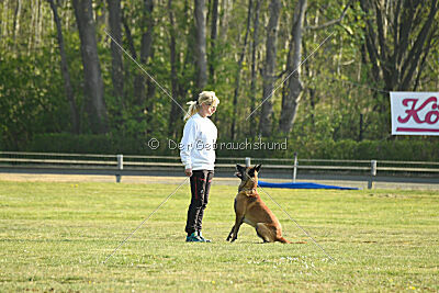 Armstrong Free to Fly