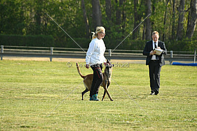 Armstrong Free to Fly