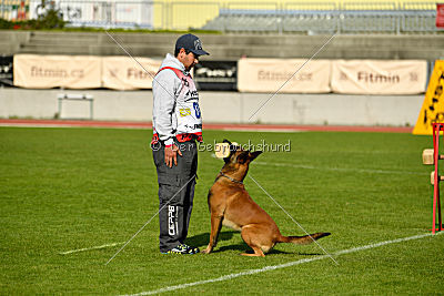 Arnold de Fontemordant