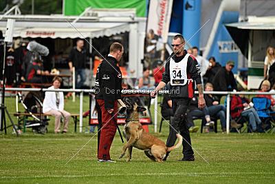 Aron Primus Proeliator