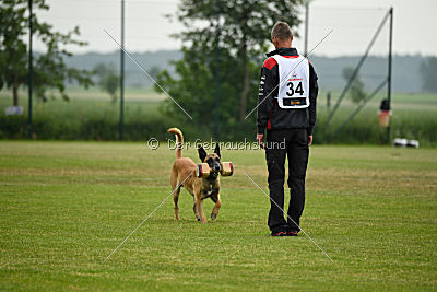 Aron Primus Proeliator