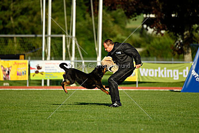 Arriva von der Teufelspratze