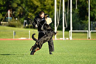 Arriva von der Teufelspratze