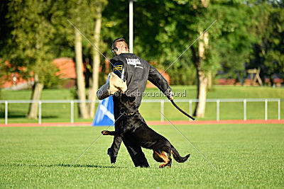 Arriva von der Teufelspratze