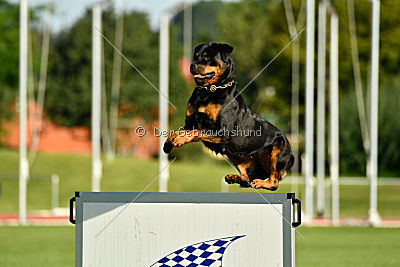 Arriva von der Teufelspratze