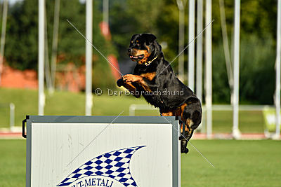 Arriva von der Teufelspratze