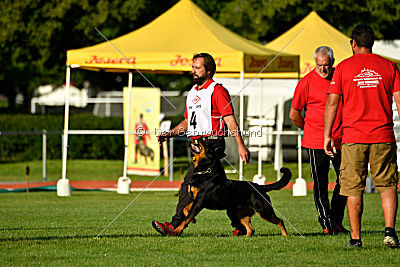 Arriva von der Teufelspratze