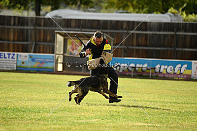Arska vom Schattenbachtal