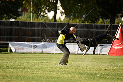 Arska vom Schattenbachtal