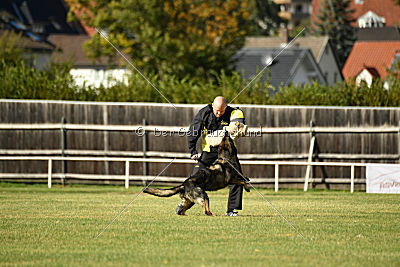 Arska vom Schattenbachtal