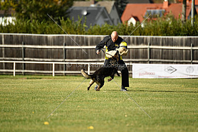 Arska vom Schattenbachtal