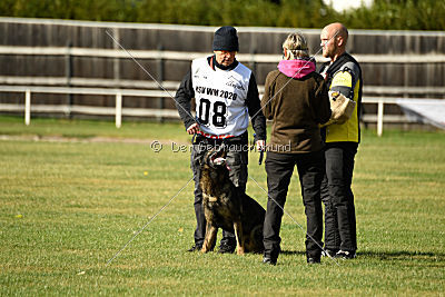 Arska vom Schattenbachtal
