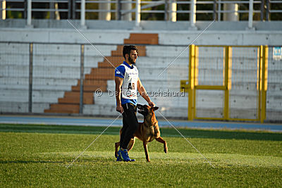 Artax von Anauj Haus