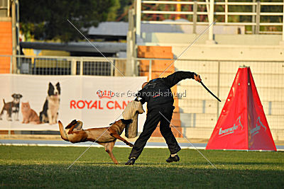 Artax von Anauj Haus