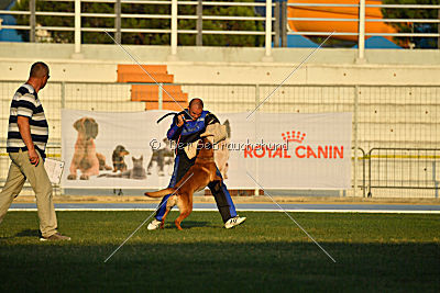 Artax von Anauj Haus