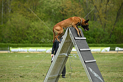 Arthos vom Feldbrand